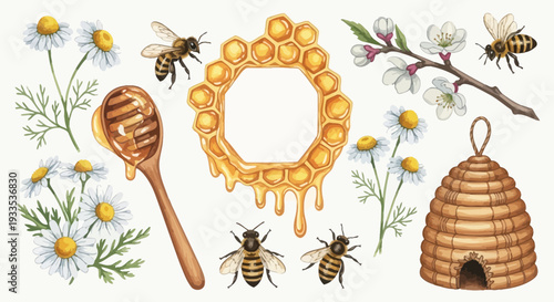 Watercolor illustration of bees honeycomb flowers and honey dipper on white