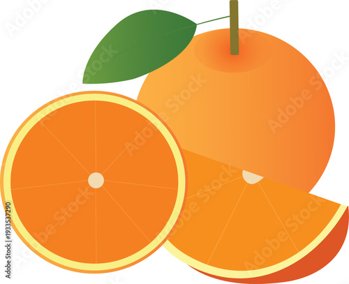 Minimal citrus fruit vector featuring whole and sliced orange, ideal for logos, labels, and digital marketing materials.
