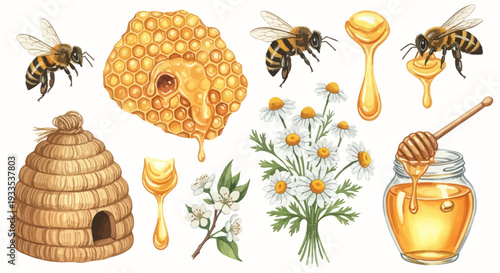 Watercolor illustration of bees honeycomb honey and flowers on white