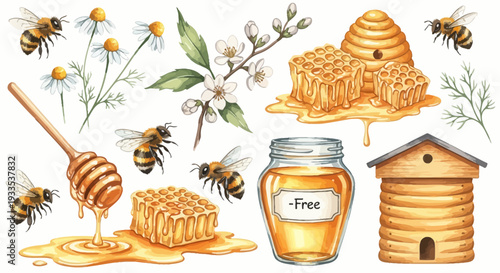 Watercolor illustration of bees honeycomb honey and flowers