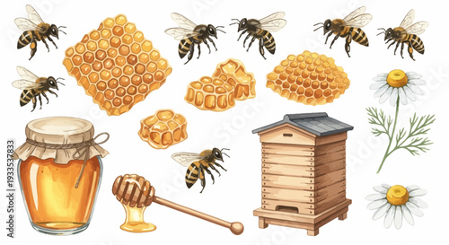 Watercolor illustration of bees honeycomb honey dipper and apiary isolated