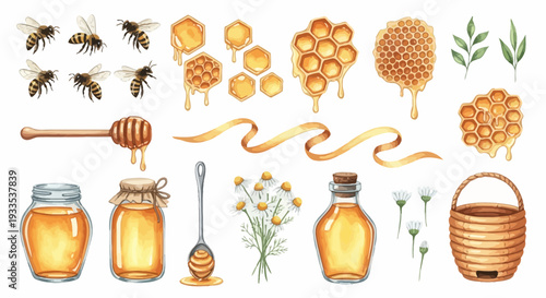 Watercolor illustration of bees honeycomb honey and related elements