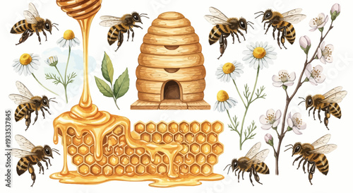 Watercolor illustration of bees honeycomb honey dipper and floral elements