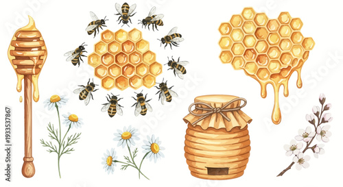 Watercolor illustration of bees honeycomb honey dipper and flowers
