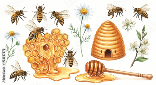 Watercolor illustration of bees honeycomb honey dipper and flowers