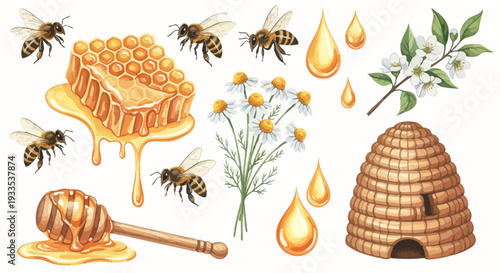 Watercolor illustration of bees honeycomb honey dipper flowers and beehive