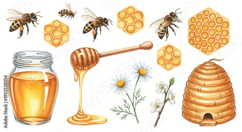 Watercolor illustration of bees honeycomb honey flowers and beehive elements