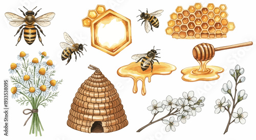 Watercolor illustration of bees honeycomb honey flowers and beehive elements