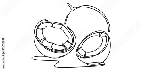 Continuous line drawing of a coconut cut into two halves with white background Vector, illustration