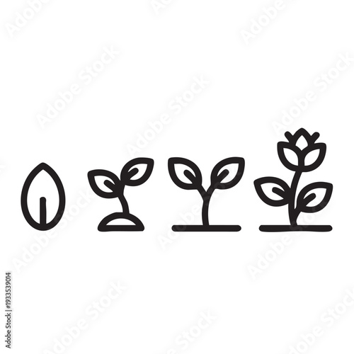 Illustration of a seed germinating into a flowering plant in four stages from left to right