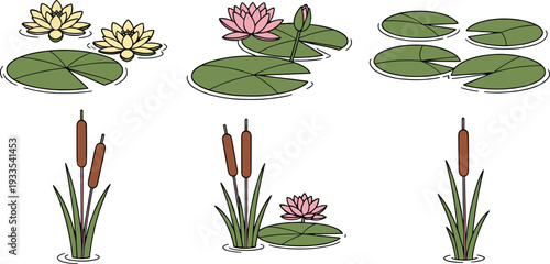 Freshwater aquatic plants illustration with lily pads, cattails, and water lilies, nature design for pond ecosystem, botanical artwork showcasing wetland vegetation diversity