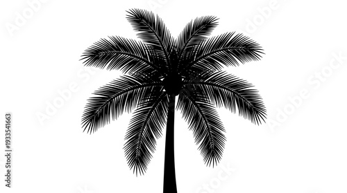 Palm Tree Silhouette