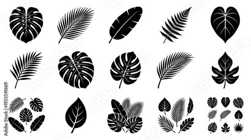 Tropical Leaves Set