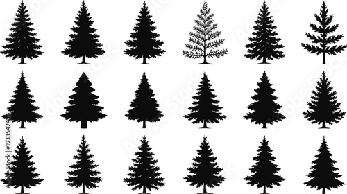 Set of pine tree silhouettes isolated on white background, detailed evergreen forest collection for winter landscape design, Christmas decoration and natural woodland illustration