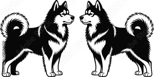 Siberian Husky dog pair vector illustration, black and white symmetrical canine design, detailed fluffy coat mascot logo isolated on white background