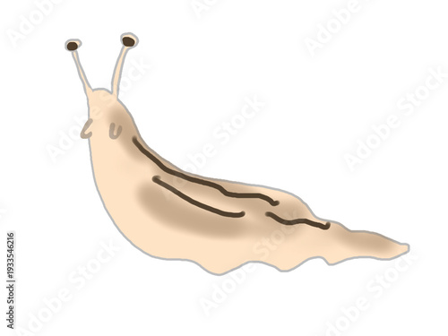 Fotografi Slug illustration