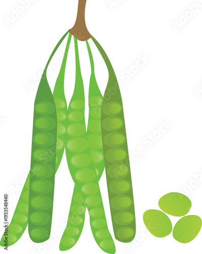 Fresh tropical bitter beans in flat vector style, ideal for Southeast Asian cuisine branding, restaurant menus, and organic product labels.