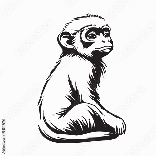 Langur Monkey Sitting Relaxed Vector Illustration on White Background