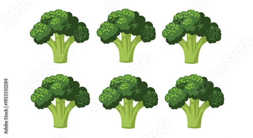 Six individual green broccoli florets are arranged in two neat rows of three on a plain white background, presenting a fresh appearance.