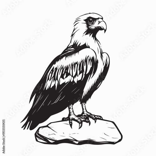 Majestic Bearded Vulture on Rock Vector Design On White Background