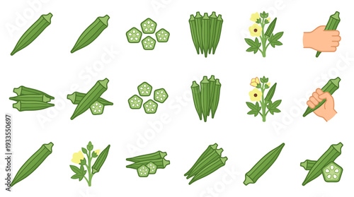 Collection of flat ladyfinger vector icons illustrating whole pods, sliced pieces, plant with flowers, and a human hand holding the green vegetable for healthy food designs.