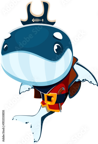 Cartoon smiling whale animal pirate crew character wears large black corsair tricorn hat, red pirate coat and golden belt with buckle. Vector underwater blue sperm aquatic rover and corsair personage