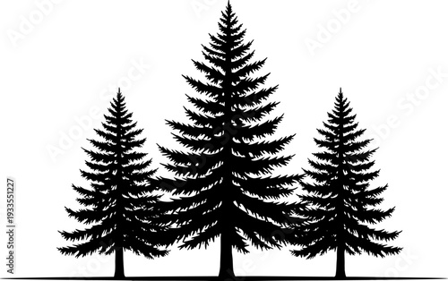 Pine tree forest silhouette vector illustration, evergreen conifer trees landscape scene, black nature woodland design for logo, poster, eco branding, winter, outdoor background