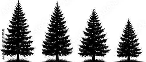 Pine tree silhouette set illustration, evergreen conifer forest elements isolated on white background, winter nature landscape concept, minimalist black vector design