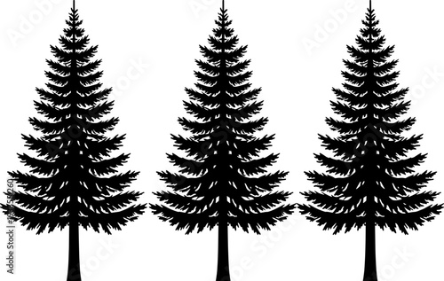 Pine tree silhouettes set, evergreen forest nature illustration, black and white conifer trees design, winter woodland landscape, clean minimal flat vector art