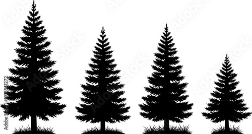 Pine tree silhouettes vector illustration collection, evergreen forest trees isolated on white background, nature landscape design elements, winter woodland graphic set