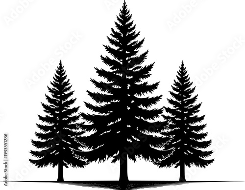Pine tree silhouettes vector illustration, evergreen forest landscape design, black conifer trees isolated on white background for nature branding and outdoor graphics