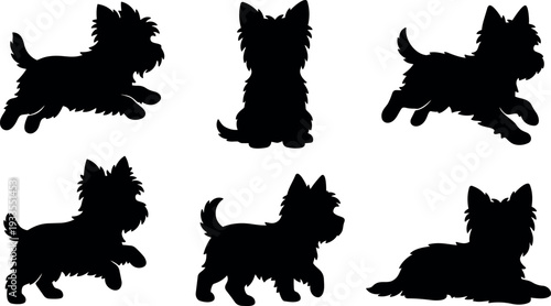 Flat design black silhouette set of six terrier puppy poses side view and sitting frontal isolated white background playful energetic