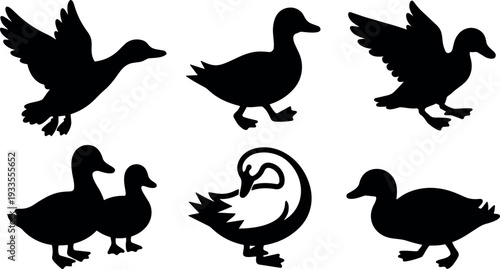 Flat design black duck silhouettes in varied poses six icons side view and flying and preening simple bold composition vector