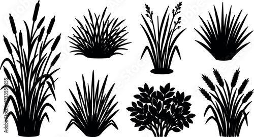 Minimalist vector silhouette marsh grasses and bush set eight plant clumps close up flat design black isolated landscape trimmed ornamental