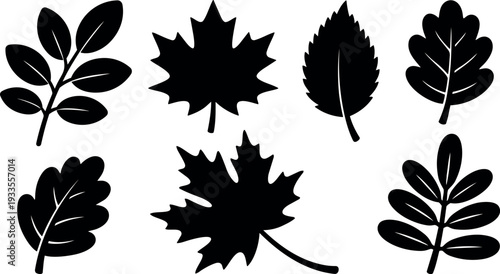 Minimalist vector leaf silhouettes set seven different leaves flat black icons botanical shapes for seasonal design logo templates patterns autumn