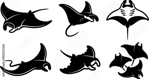 Minimalist manta ray vector set showing six black silhouettes in varied swimming poses side views overhead clean isolated stencil style