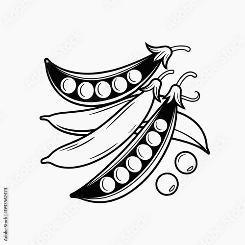 Black and white illustration of peas in pods with round peas on a blank background