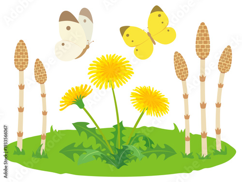 春の野原のイラスト素材 つくしとタンポポと蝶