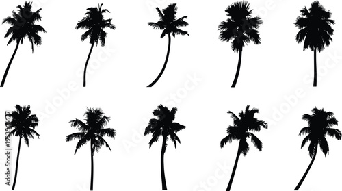 PrintPalm tree silhouette collection, tropical icons, black vector design, artistic composition, exotic landscape, nature illustration, decorative pattern, summer graphic set