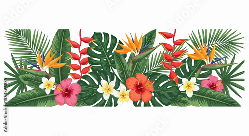 Composition décorative de fleurs tropicales exotiques et de feuilles luxuriantes sur fond blanc.