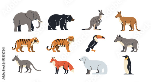 A collection of twelve diverse wild animals, including an elephant, bears, kangaroos, tigers, and a penguin, are arranged on a white surface.