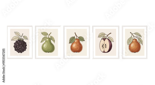 Vintage Botanical Fruit Illustrations: Pears, Berries, Apple Slice