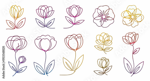 白い背景にカラフルなグラデーションの線画で描かれた、様々な種類の花のミニマルでエレガントなイラストレーションコレクション。シンプルな美しさを表現。