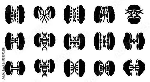 A collection of dumbbell icons in various designs and styles, fitness equipment illustration, white background, graphic design elements, detailed view