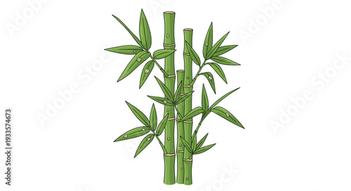 Three vertical bamboo stalks with vibrant green leaves and small water droplets are depicted on a clean white background.