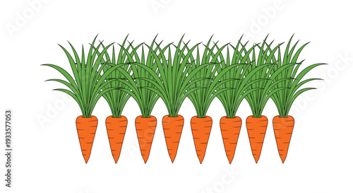 Eight uniformly shaped orange carrots with abundant green leafy tops are neatly lined up in a horizontal row on a clean white background.