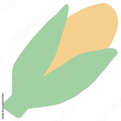 8月の園だよりに使いやすい シンプル手描き素材シリーズ｜とうもろこし / Corn Illustration for Summer