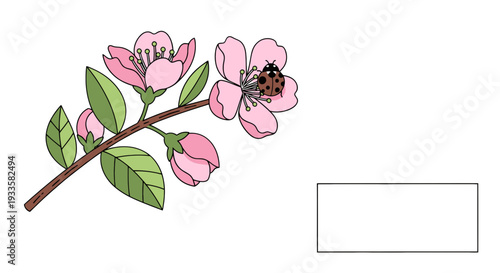 Branch with pink cherry blossoms and a ladybug resting on the petals vector illustration in spring season floral design for decoration