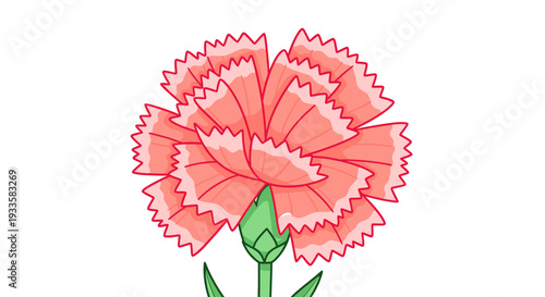 Cartoon style pink carnation flower illustration with detailed frilly petals and green stem on a clean white backdrop; perfect for spring themes