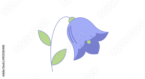 Charming periwinkle bluebell flower illustration in minimalist vector style; simple bell shaped blossom with green leaves on white backdrop